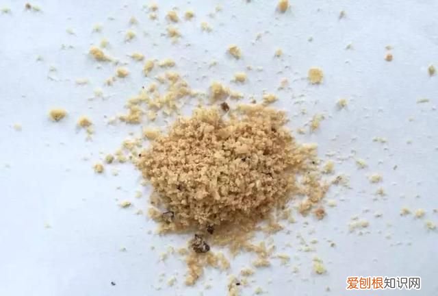 每日一记中药二巴豆看完不再踩坑