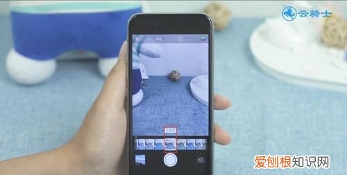 相机照片偏黄怎么调,苹果手机拍照颜色发黄怎么调整