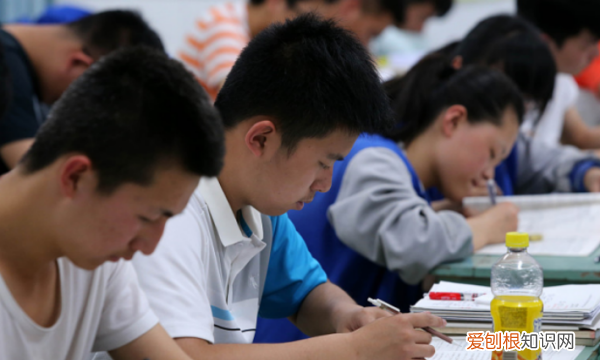 学生品德发展具有什么,小学生品德发展的基本特征包括