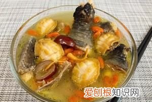 鲍鱼煲鸡怎么煲汤,鲍鱼鸡汤怎么煲汤好喝