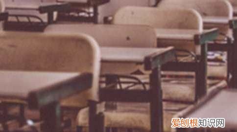 中专毕业后还可以上什么学校