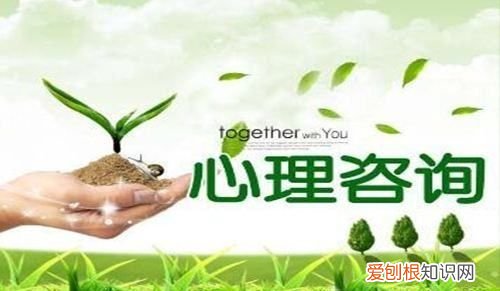 什么叫评估维度,心理咨询效果的评估维度不包括