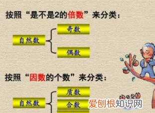 奇数有负数，奇数是单数还是双数