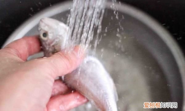 教你如何做烤鱼，烤鱼的做法最正宗的做法