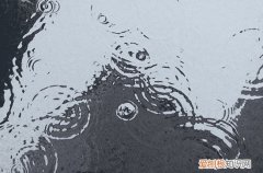 2023年谷雨节气是几月几日