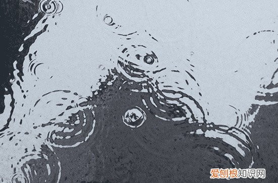 2023年谷雨节气是几月几日