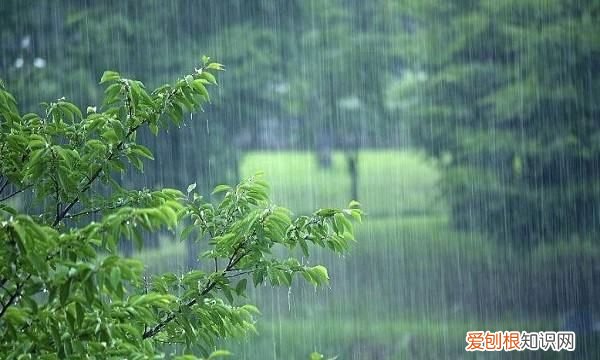 水墨画用什么纸，画水墨虾用什么毛笔