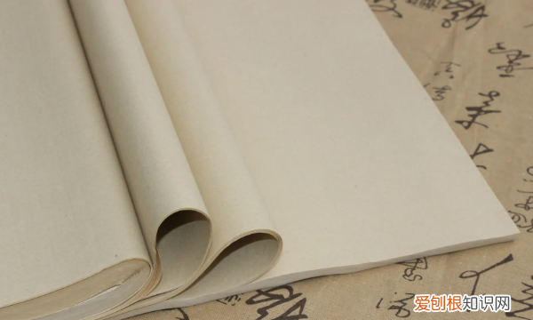 水墨画用什么纸，画水墨虾用什么毛笔