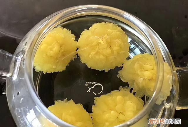 夏天喝哪种菊花茶合适 夏天喝菊花配什么茶才有效