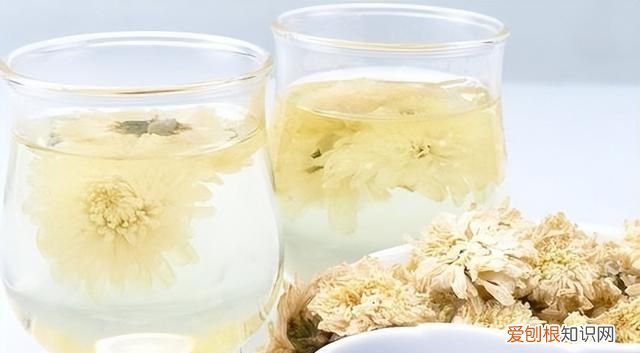 夏天喝哪种菊花茶合适 夏天喝菊花配什么茶才有效