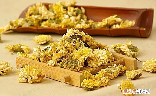 夏天喝哪种菊花茶合适 夏天喝菊花配什么茶才有效