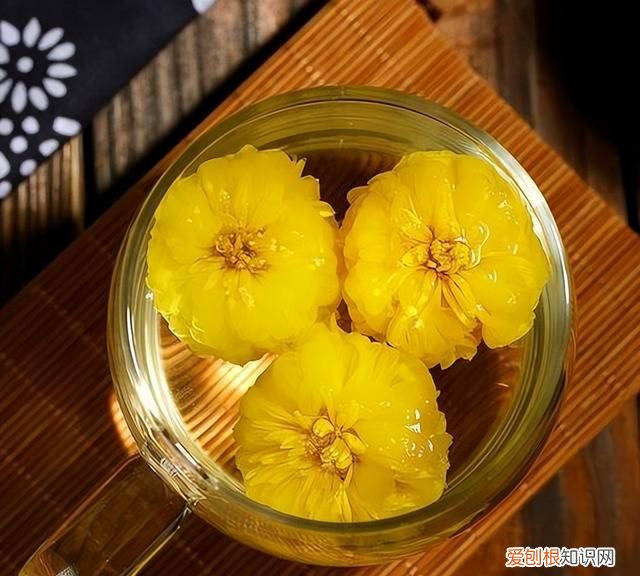 夏天喝哪种菊花茶合适 夏天喝菊花配什么茶才有效