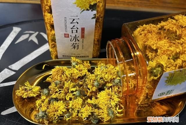夏天喝哪种菊花茶合适 夏天喝菊花配什么茶才有效