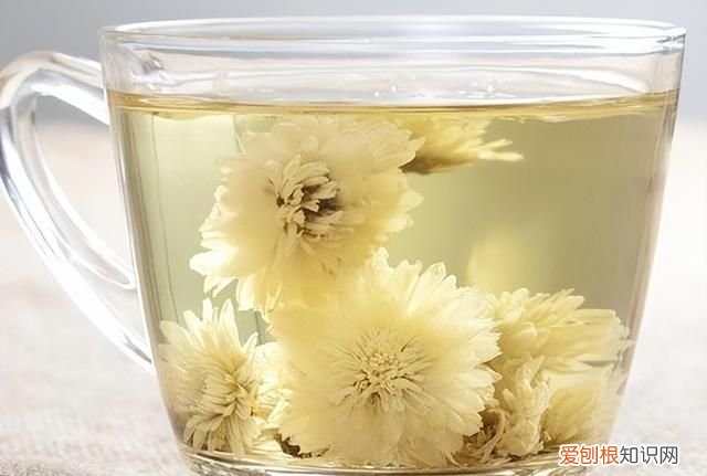 夏天喝哪种菊花茶合适 夏天喝菊花配什么茶才有效