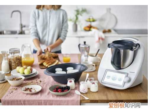 料理机什么牌子的质量好?