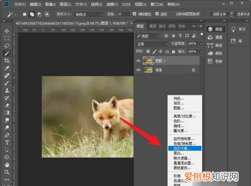 ps如何调整色阶快捷键，ps怎么单独调整图层色阶