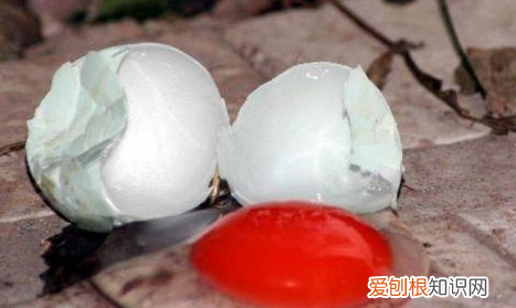 怎样检验鸡蛋是否新鲜，怎样辨别鸡蛋含有苏丹红