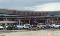 广州市哪里有花鸟市场，广州花鸟鱼虫市场新址