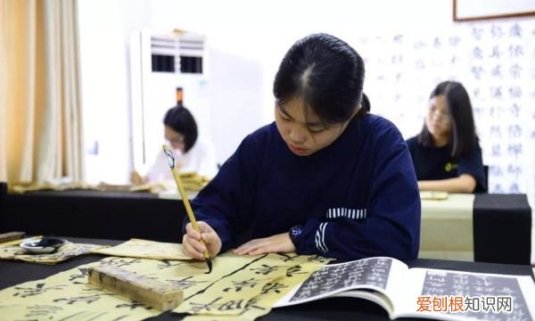 书法艺考考什么，书法高考可以选什么学校