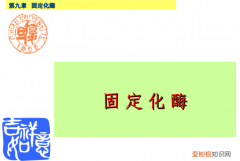 固定化酶的实质是什么