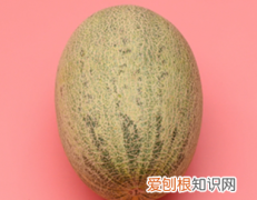 甜瓜怎么切，哈密瓜怎么切好看摆盘