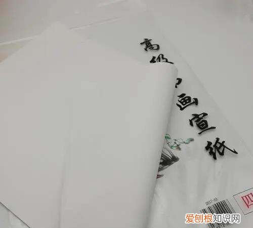 画画用什么宣纸,画国画用什么宣纸好