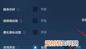 王者荣耀怎么在线隐身，王者荣耀怎么隐身登录