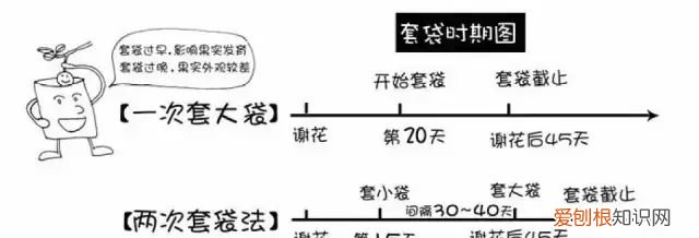 图解梨树套袋技术
