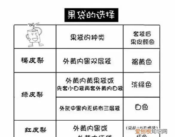 图解梨树套袋技术
