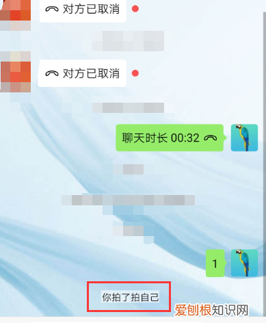 微信群里拍拍是什么，微信群里拍了拍怎么弄
