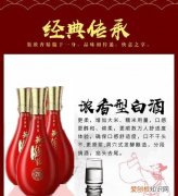 黄鹤楼酒wth0006s什么意思
