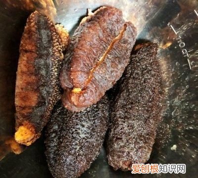 营养美味鲜炖海参 最简单的炖海参做法