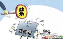 没有驾照开车违法