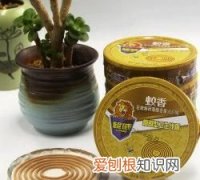 蚊香可以杀蟑螂吗，蚊香可以熏死蜘蛛