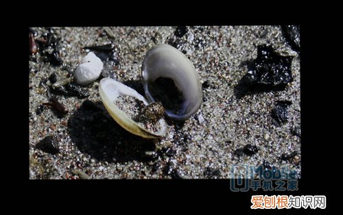 华为荣耀3c畅玩版泽呢么样?