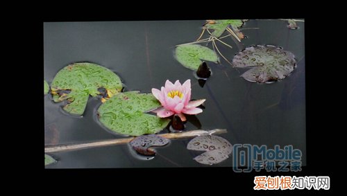 华为荣耀3c畅玩版泽呢么样?