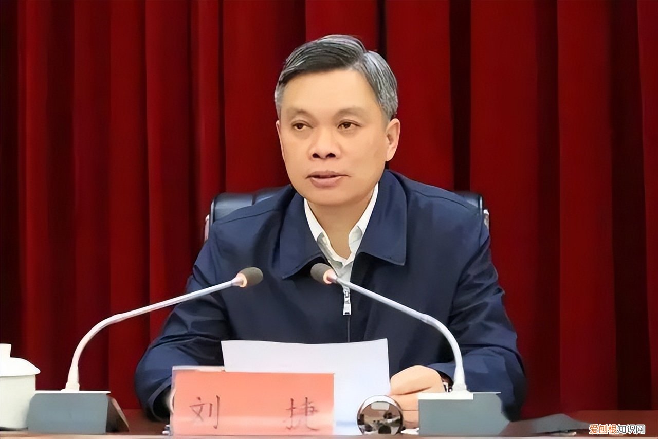 杭州市委书记就西湖柳树移栽致歉