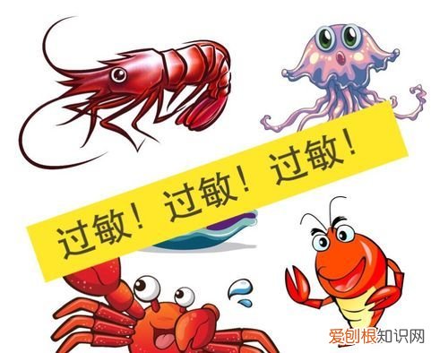 海鲜过敏怎么办,吃了海鲜过敏怎么办