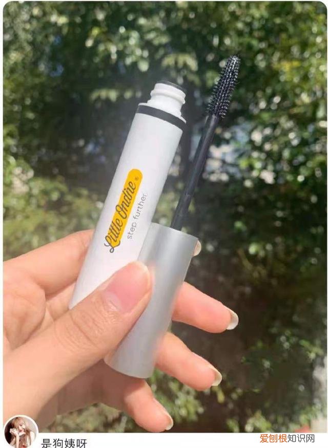 什么样的睫毛膏比较好用?