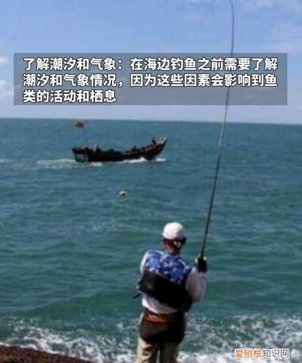 沙滩上怎么钓鱼，海滩钓鱼技巧教程