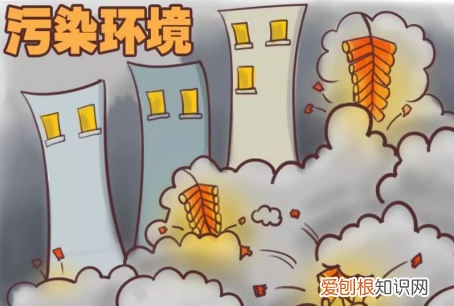 烟花有什么危害，烟花的危害的事例