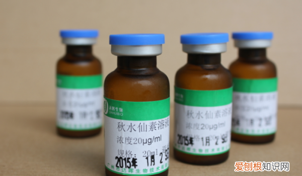 秋水仙素诱导多倍体的原理