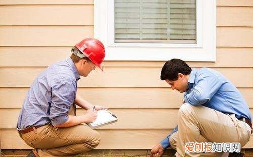 消灭屋里蜱虫用什么药，家里有蜱虫怎么才能彻底消灭