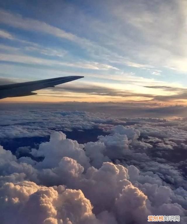 马金红‖如歌的祭奠