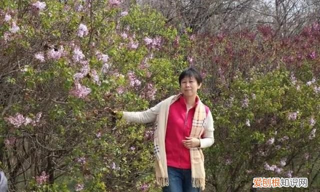 马金红‖如歌的祭奠