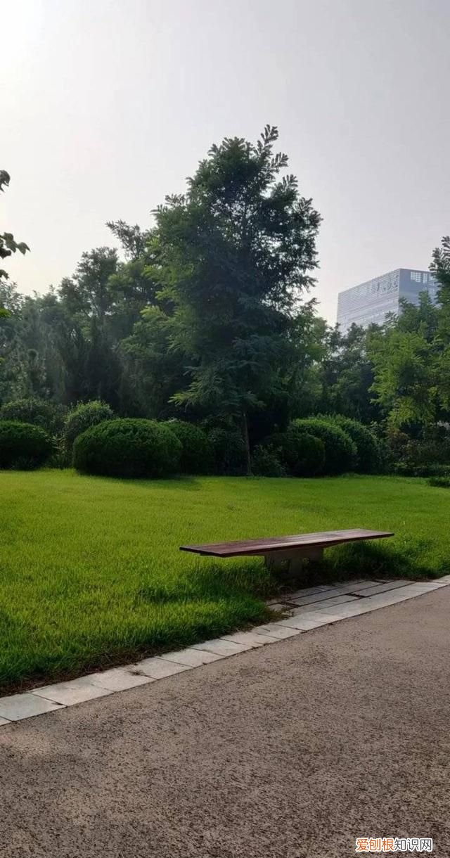 马金红‖如歌的祭奠