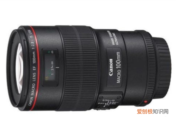 什么镜头可以拍微距，什么镜头拍微距更好