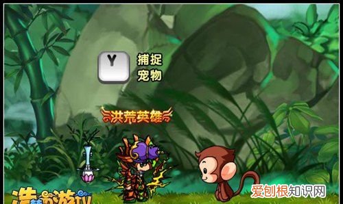 造梦西游4宠物怎么进化,造梦西游4手游破解版内购破解版