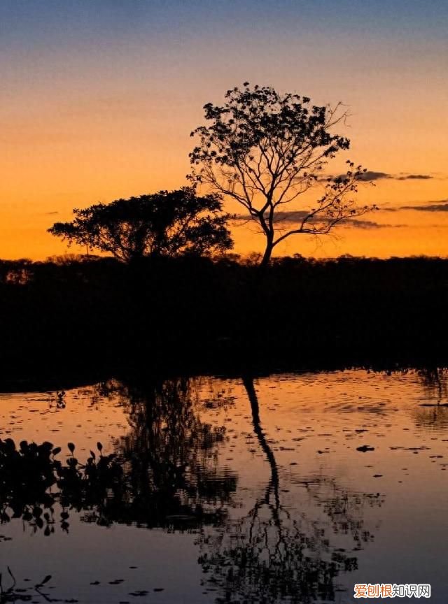 落日尤其温柔 人间皆是浪漫是什么意思