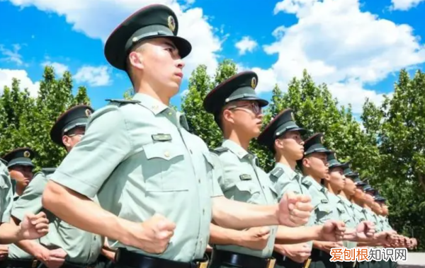 士官学校报考条件，报考士官需要什么条件